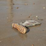 Jak znaleźć zgubę w pociągu? – biuro rzeczy znalezionych PKP