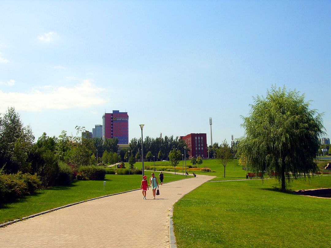 Młynówka Królewska – najdłuższy park w Polsce. Odkryj zieloną oazę Krakowa